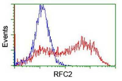 Flow Cytometry: RFC2 Antibody (OTI4C11) [NBP2-03934]