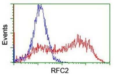 Flow Cytometry: RFC2 Antibody (OTI4C11) - Azide and BSA Free [NBP2-73858]