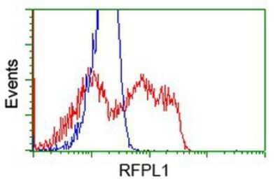 Flow Cytometry: RFPL1 Antibody (OTI1D3) [NBP2-02835]