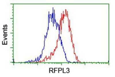 Flow Cytometry: RFPL3 Antibody (OTI2G4) [NBP2-02034]