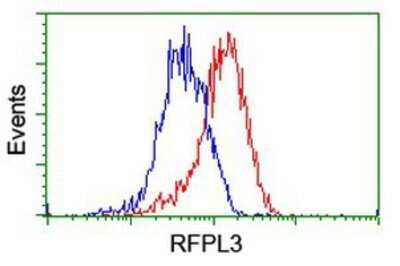 Flow Cytometry: RFPL3 Antibody (OTI2G4) - Azide and BSA Free [NBP2-73862]