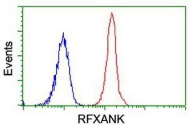 Flow Cytometry: RFXANK Antibody (OTI3E7) - Azide and BSA Free [NBP2-73870]