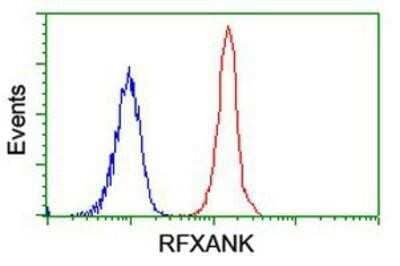 Flow Cytometry: RFXANK Antibody (OTI3E7) [NBP2-01756]