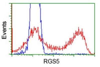Flow Cytometry: RGS5 Antibody (OTI1C1) [NBP2-00880]