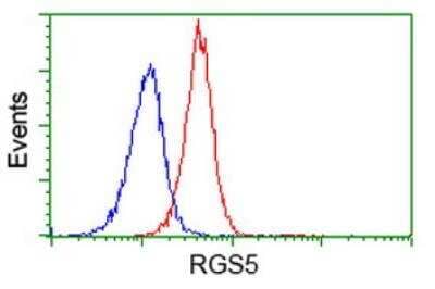 Flow Cytometry: RGS5 Antibody (OTI1C1) [NBP2-00880]
