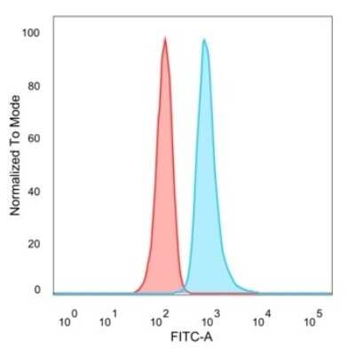 Flow Cytometry: RHOXF2 Antibody (PCRP-RHOXF2-1D7) [NBP3-07401]