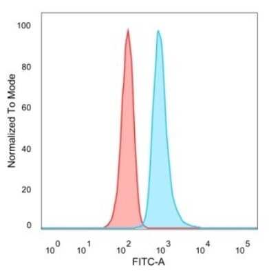 Flow Cytometry: RHOXF2 Antibody (PCRP-RHOXF2-1D7) - Azide and BSA Free [NBP3-08529]