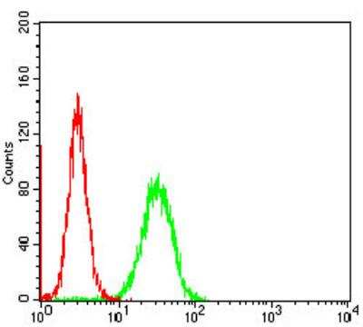Flow Cytometry: RIAM/APBB1IP Antibody (7E7A3) - BSA Free [NBP2-52417]