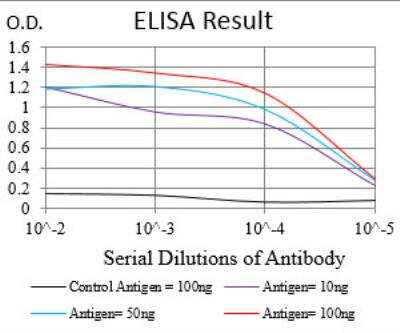 ELISA: RIAM/APBB1IP Antibody (7E7D12) - BSA Free [NBP2-52416]