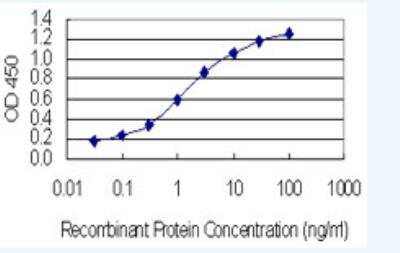 ELISA: RIC8A Antibody (1H6) [H00060626-M01-100ug]