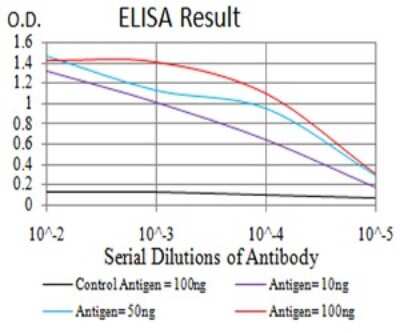 ELISA: RIG-I Antibody (4G1B6) - BSA Free [NBP2-61849]