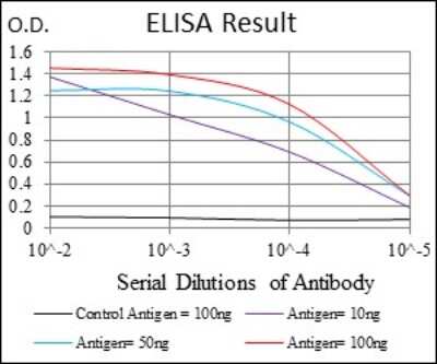 ELISA: RING1 Antibody (8C12F4) - BSA Free [NBP2-37370]