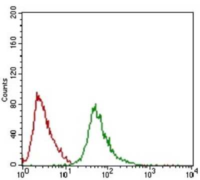 Flow Cytometry: RING1 Antibody (8C12F4) - BSA Free [NBP2-37370]