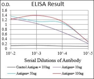 ELISA: RING1 Antibody (8E8A2) - BSA Free [NBP2-37319]