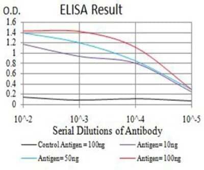 ELISA: RIPK4 Antibody (1F7D9) - BSA Free [NBP2-61860]