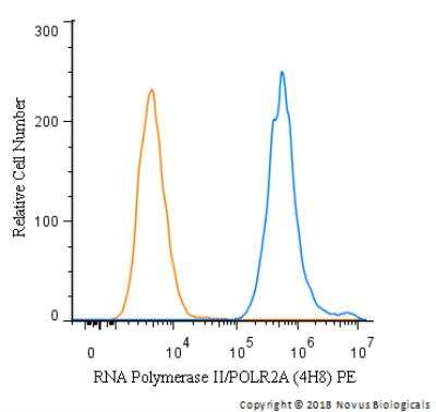 Flow Cytometry: RNA Polymerase II/POLR2A Antibody (4H8) - Azide and BSA Free [NB200-598]