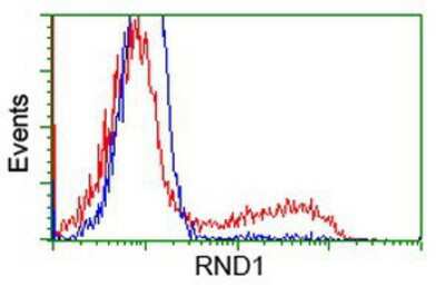 Flow Cytometry: RND1 Antibody (OTI1C3) [NBP2-03000]