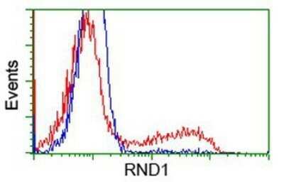 Flow Cytometry: RND1 Antibody (OTI1C3) - Azide and BSA Free [NBP2-73919]