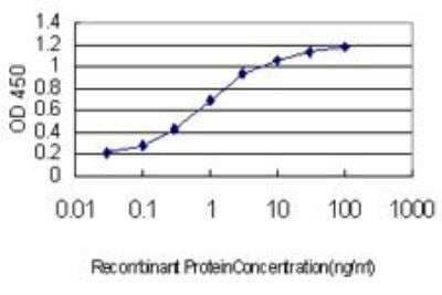 ELISA: RNF12 Antibody (1G10) [H00051132-M01]