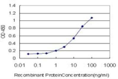 ELISA: RNF122 Antibody (5E5) [H00079845-M01]
