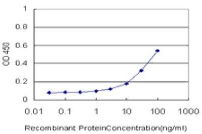 ELISA: RNF145 Antibody (3B5) [H00153830-M08]