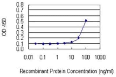 ELISA: RNF180 Antibody (1C4) [H00285671-M05]
