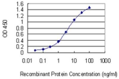 ELISA: RNF186 Antibody (4F10) [H00054546-M01]