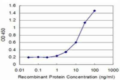 ELISA: RNF2 Antibody (2B6) [H00006045-M05]