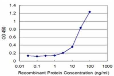 ELISA: RNF2 Antibody (3B8) [H00006045-M08]