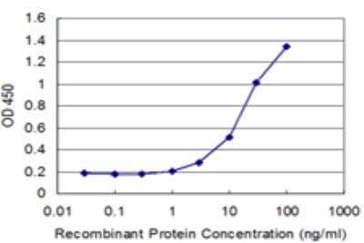 ELISA: RNF2 Antibody (3G6) [H00006045-M03]