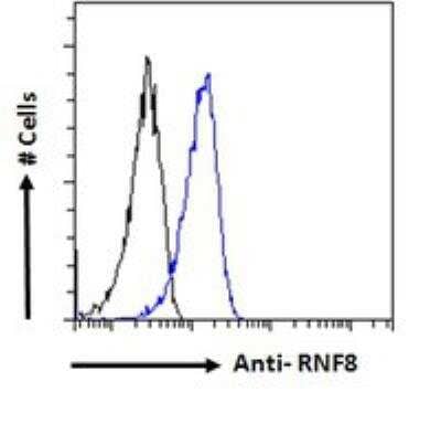 Flow Cytometry: RNF8 Antibody [NB100-1176]