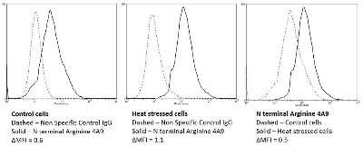 Flow Cytometry: RNPEPL1 Antibody (4A9) [NBP2-59371]