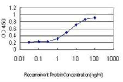 ELISA: RNase H1 Antibody (5D10) [H00246243-M01]