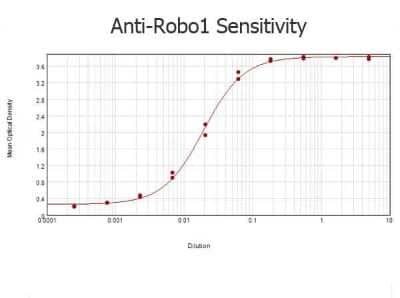 ELISA: ROBO1 Antibody [NB600-1254]