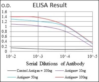 ELISA: ROCK1 Antibody (1H4) - BSA Free [NBP2-37533]