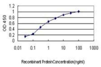 ELISA: ROCK1 Antibody (2E2) [H00006093-M01]
