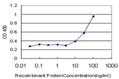 ELISA: ROPN1 Antibody (4E11) [H00054763-M03]