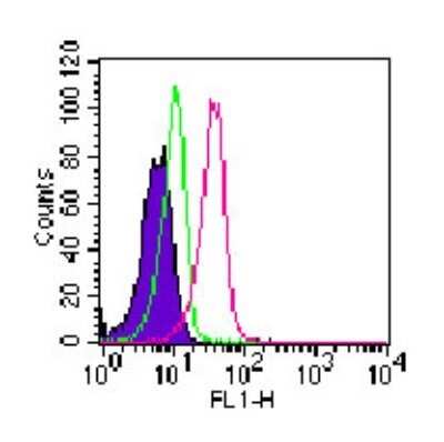 Flow Cytometry: ROR gamma/RORC/NR1F3 Antibody (4G419) - BSA Free [NBP2-24449]