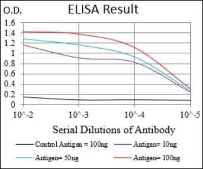 ELISA: ROR2 Antibody (6F2D10) - BSA Free [NBP2-37263]
