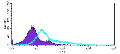 Flow Cytometry: RP105/CD180 Antibody [NBP2-20204]