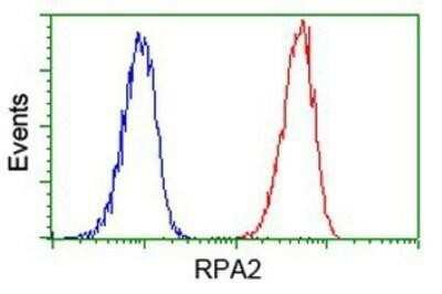 Flow Cytometry: RPA2 Antibody (OTI9A1) - Azide and BSA Free [NBP2-73935]