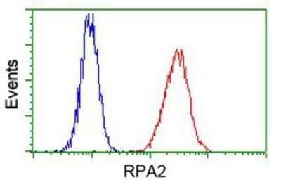 Flow Cytometry: RPA2 Antibody (OTI9A1) [NBP2-02182]