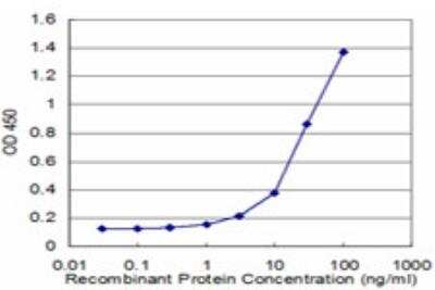 ELISA: RPL32 Antibody (1B11) [H00006161-M04]