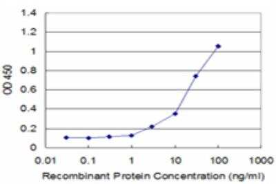 ELISA: RPL7 Antibody (2E10) [H00006129-M06]