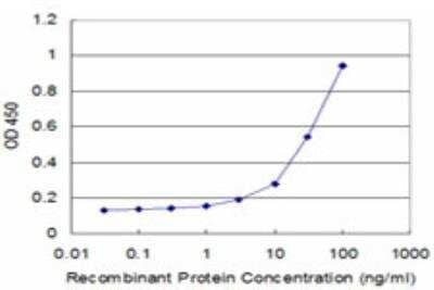 ELISA: RPS3 Antibody (2A8) [H00006188-M03]
