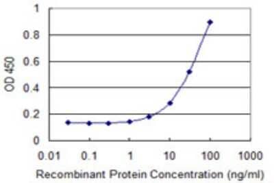 ELISA: RPS8 Antibody (4D11) [H00006202-M02]