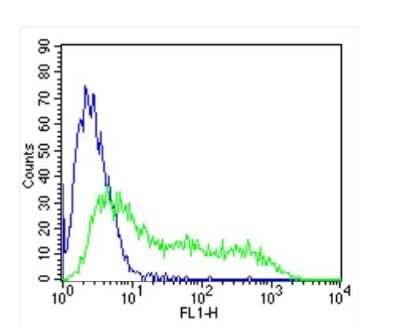 Flow Cytometry: RPSA Antibody (MLuC5) [NB200-631]