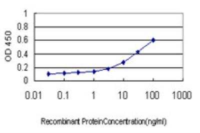 ELISA: RRM1 Antibody (4E4) [H00006240-M03]