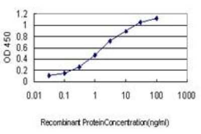 ELISA: RRM2 Antibody (1E1) [H00006241-M01]