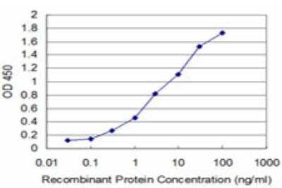 ELISA: RRP4 Antibody (4B6) [H00023404-M06]